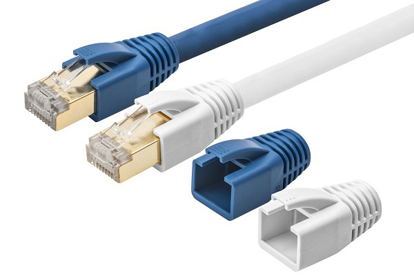 Điểm qua hạt mạng AMP chính hãng